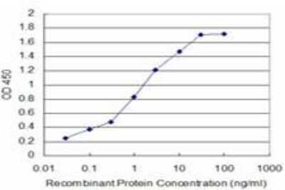 ELISA: Max Antibody (4E10-1A9) [H00004149-M01]