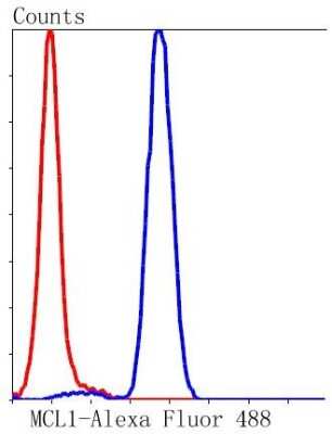 Flow Cytometry: Mcl-1 Antibody (SI16-04) [NBP2-67400]