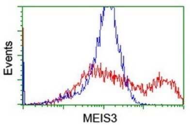 Flow Cytometry: Meis homeobox 3 Antibody (OTI3A7) [NBP2-45813]