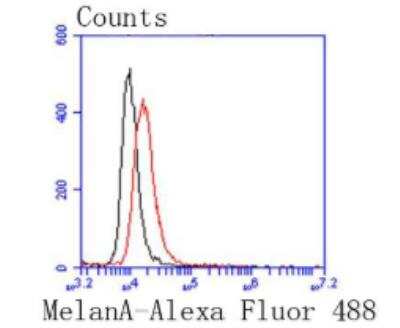 Flow Cytometry: Melanoma HMB45 + MART1 + Tyrosinase Antibody (SC56-02) [NBP2-67589]