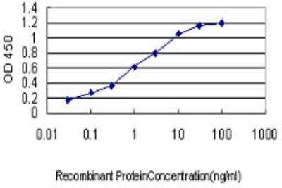 ELISA: Migfilin Antibody (5E11) [H00054751-M10]
