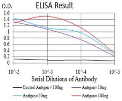 ELISA: Mind Bomb 1/MIB1 Antibody (2A7B1) - BSA Free [NBP2-61865]