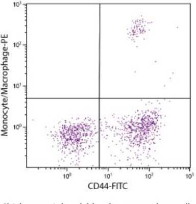 Flow Cytometry: Monocyte/Macrophage Antibody (KUL01) - Azide and BSA Free [NBP1-28359]