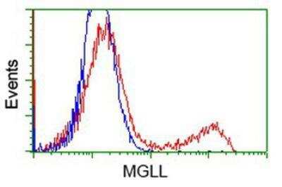 Flow Cytometry: Monoglyceride Lipase Antibody (OTI2B11) [NBP2-00735]