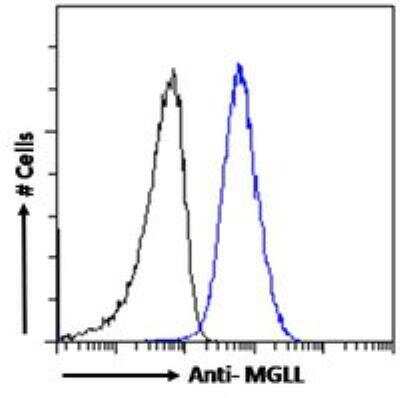 Flow Cytometry: Monoglyceride Lipase Antibody [NB100-96920]