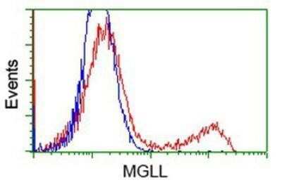 Flow Cytometry: Monoglyceride Lipase Antibody (OTI2B11) - Azide and BSA Free [NBP2-72759]