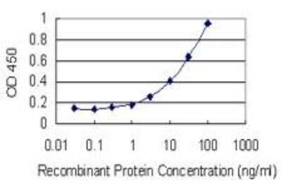 ELISA: Motilin Antibody (4E12) [H00004295-M07]