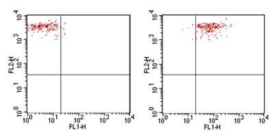 Flow Cytometry: Mouse IgG2b Isotype Control (MPC-11) [FITC] [NBP2-27229]