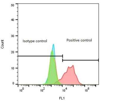 Flow Cytometry: Mouse IgG2b Kappa Isotype Control (M2BK) [NBP1-96980]