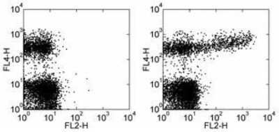 Flow Cytometry: IgM Antibody (II/41) - BSA Free [NBP1-43303]