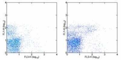 Flow Cytometry: IgM Antibody (II/41) - BSA Free [NBP1-43303]