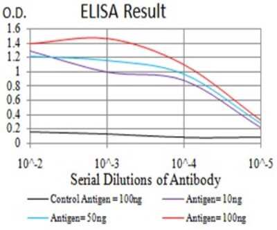 ELISA: MUC5AC Antibody (7E9D8) - BSA Free [NBP2-61875]
