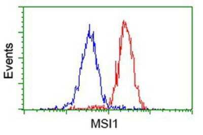 Flow Cytometry: Musashi-1 Antibody (OTI1G8) [NBP2-03434]