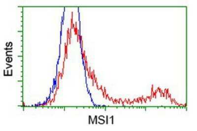 Flow Cytometry: Musashi-1 Antibody (OTI1G8) [NBP2-03434]