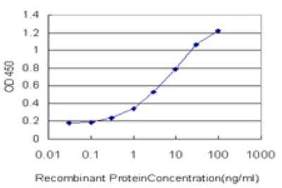 ELISA: Musashi-1 Antibody (3F2) [H00004440-M04]
