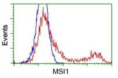 Flow Cytometry: Musashi-1 Antibody (OTI1G8) - Azide and BSA Free [NBP2-72828]