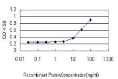 ELISA: Muscleblind-like 1 Antibody (3E7) [H00004154-M02]