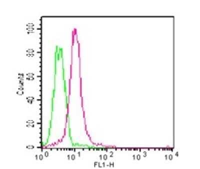 Flow (Intracellular): MyD88 Antibody (4D6) - BSA Free [NBP2-27369]