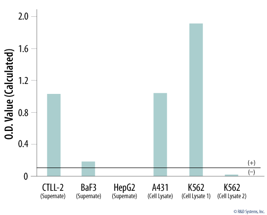 Mycoplasma Detection in Cell Line Supernates and Cell Lysates. 