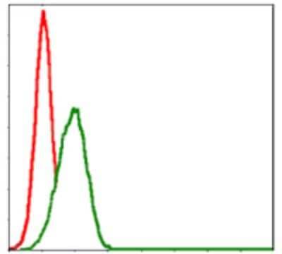 Flow Cytometry: MBP Antibody (2H9) - BSA Free [NBP2-22121]