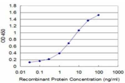 ELISA: Myelin PLP Antibody (2D7) [H00005354-M03]