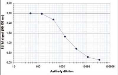 ELISA: Myosin heavy chain 11 Antibody [NBP2-59221]