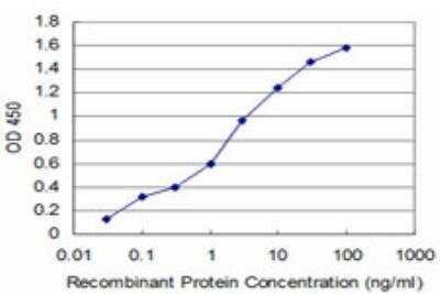 ELISA: N myc interactor Antibody (9E8) [H00009111-M04]