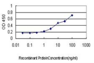 ELISA: NADK Antibody (5F4) [H00065220-M01]