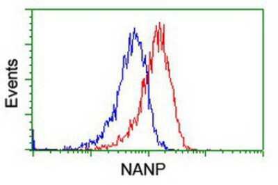 Flow Cytometry: NANP Antibody (OTI4D11) [NBP2-01935]