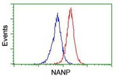 Flow Cytometry: NANP Antibody (OTI4D11) - Azide and BSA Free [NBP2-72870]