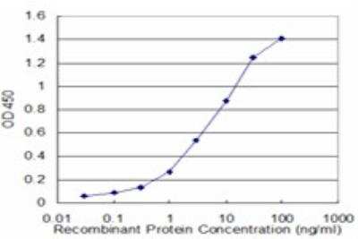 ELISA: NBR1 Antibody (6B11) [H00004077-M01]