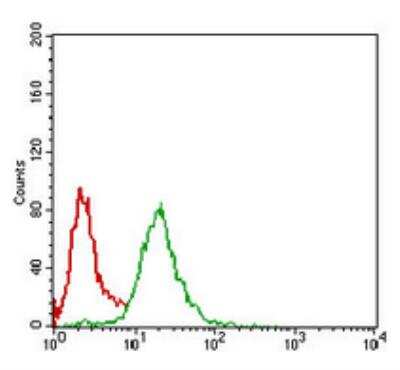 Flow Cytometry: Nbs1 Antibody (7E4A2) [NBP2-26297]