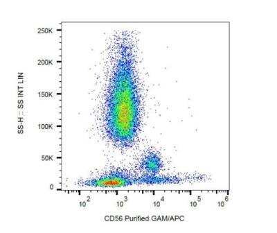 Flow Cytometry: NCAM-1/CD56 Antibody (MEM-188) - BSA Free [NBP3-09126]