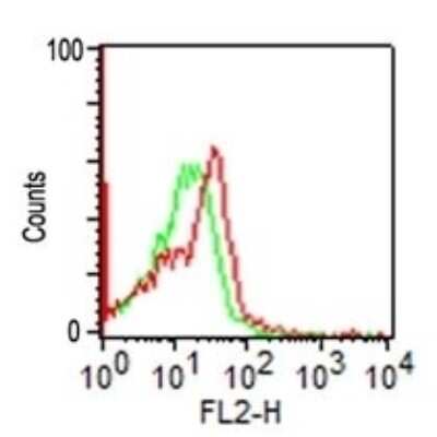 Flow Cytometry: NCAM-1/CD56 Antibody (SPM128) [NBP2-34349]