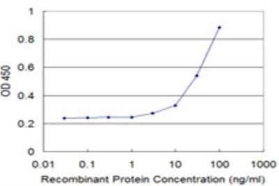 ELISA: NCOA4 Antibody (1B7) [H00008031-M04]