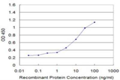 ELISA: NCOA4 Antibody (1E5) [H00008031-M03]
