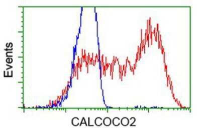 Flow Cytometry: NDP52 Antibody (OTI4H5) [NBP2-03246]