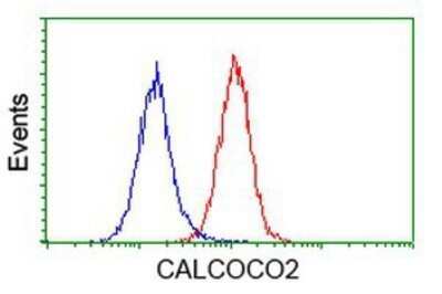 Flow Cytometry: NDP52 Antibody (OTI4H5) - Azide and BSA Free [NBP2-72897]