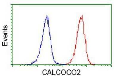 Flow Cytometry: NDP52 Antibody (OTI4H5) - Azide and BSA Free [NBP2-72897]