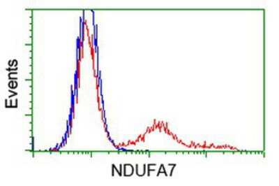 Flow Cytometry: NDUFA7 Antibody (OTI2G4) [NBP2-00564]