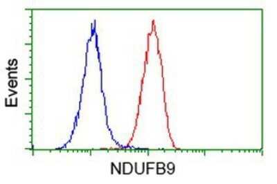 Flow Cytometry: NDUFB9 Antibody (OTI8B7) - Azide and BSA Free [NBP2-72918]