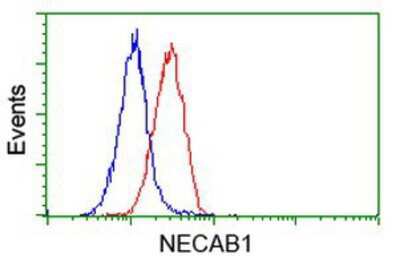 Flow Cytometry: NECAB1 Antibody (OTI4G8) [NBP2-00480]