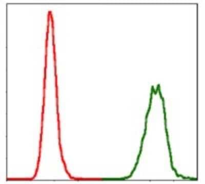 Flow Cytometry: NEDD8 Antibody (5B8) - BSA Free [NBP2-37523]