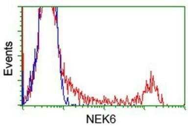 Flow Cytometry: NEK6 Antibody (OTI5D7) - Azide and BSA Free [NBP2-72938]
