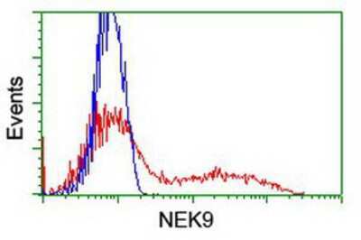 Flow Cytometry: NEK9 Antibody (OTI1H1) [NBP2-01070]