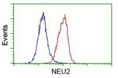 Flow Cytometry: NEU2 Antibody (OTI4F4) - Azide and BSA Free [NBP2-72944]