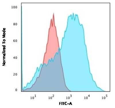 Flow Cytometry: NF-H Antibody (NE14) - Azide and BSA Free [NBP2-47834]