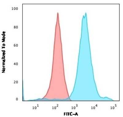 Flow Cytometry: NF-H Antibody (NF421) - Azide and BSA Free [NBP2-33102]