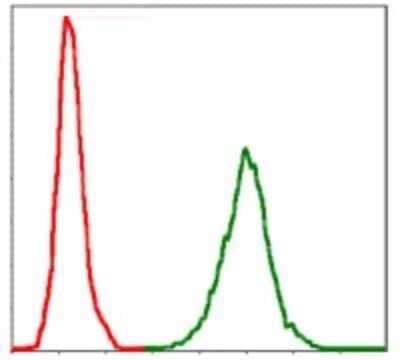 Flow Cytometry: NF-L Antibody (1H3) - BSA Free [NBP2-37528]