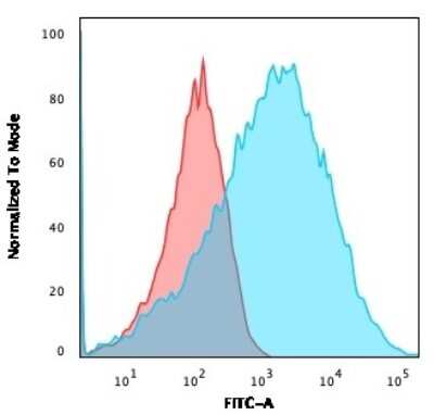Flow Cytometry: NF-L Antibody (NFL/736) [NBP2-44893]